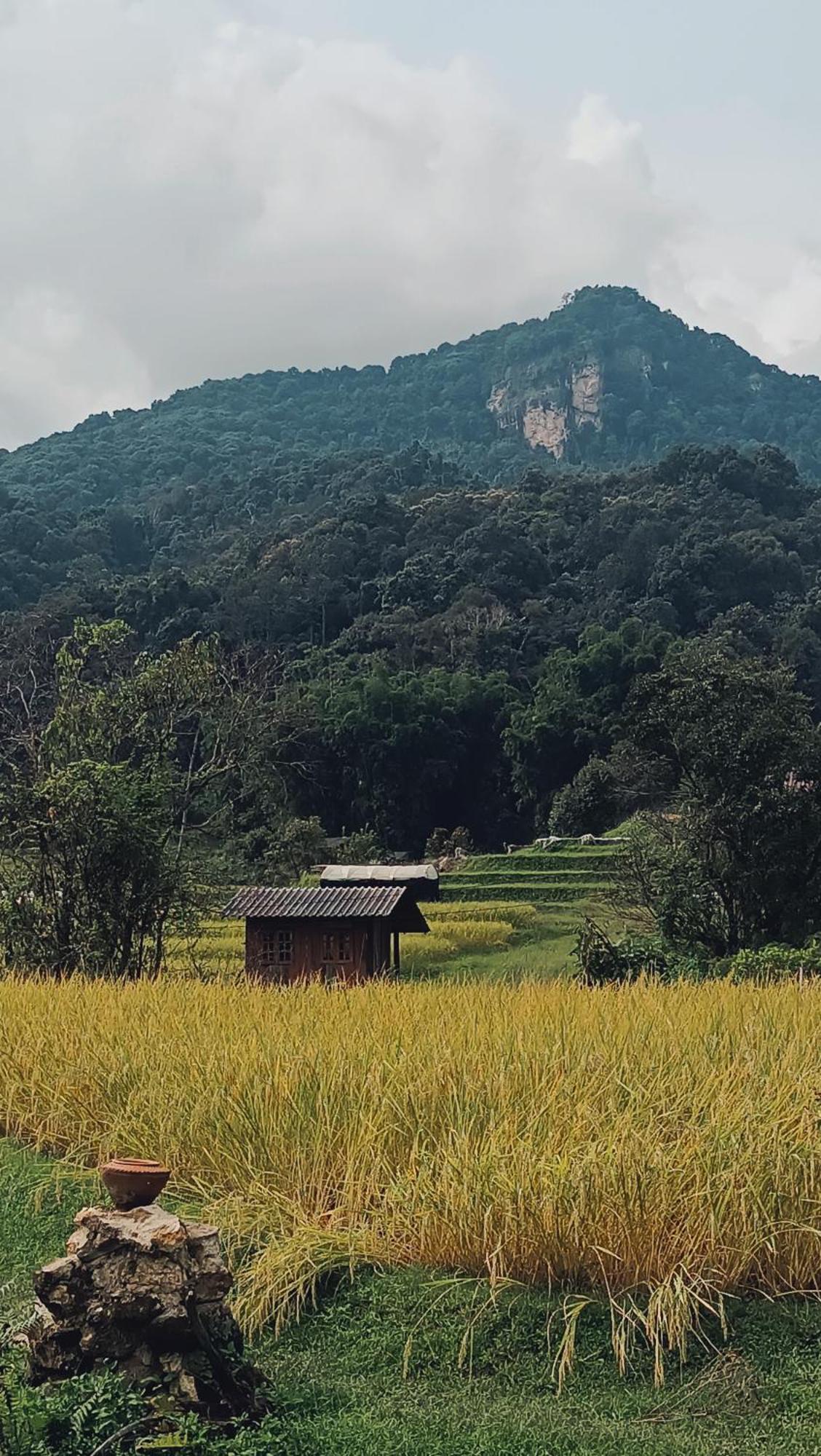 Cabinthai Мае Чаем Экстерьер фото
